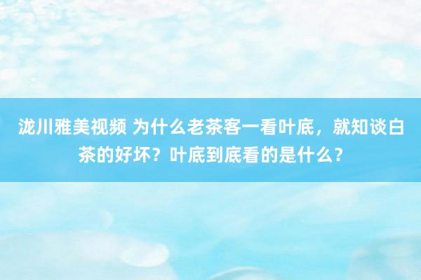 泷川雅美视频 为什么老茶客一看叶底，就知谈白茶的好坏？叶底到底看的是什么？