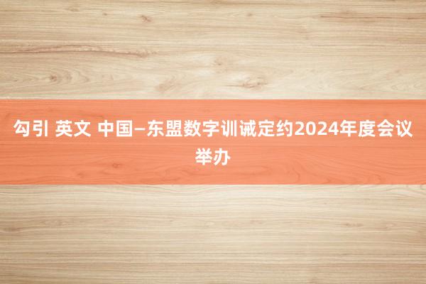 勾引 英文 中国—东盟数字训诫定约2024年度会议举办