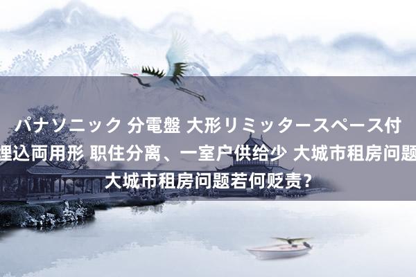 パナソニック 分電盤 大形リミッタースペース付 露出・半埋込両用形 职住分离、一室户供给少 大城市租房问题若何贬责？