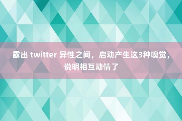 露出 twitter 异性之间，启动产生这3种嗅觉，说明相互动情了