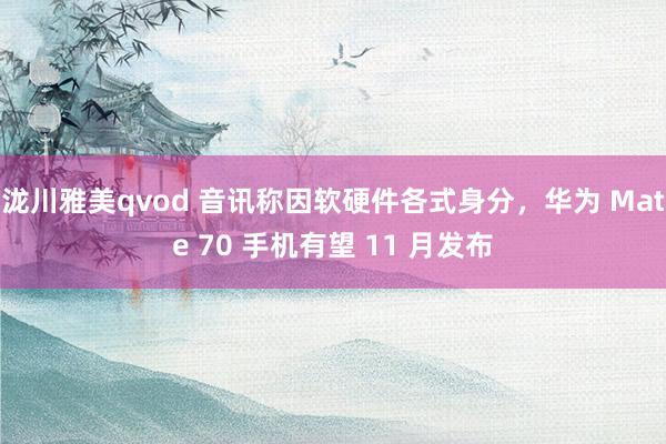 泷川雅美qvod 音讯称因软硬件各式身分，华为 Mate 70 手机有望 11 月发布