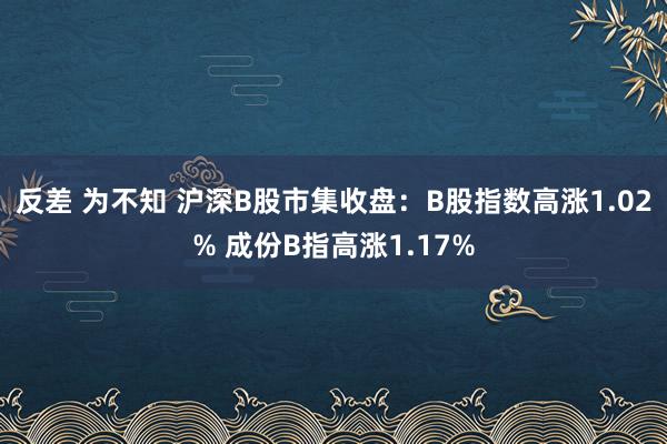 反差 为不知 沪深B股市集收盘：B股指数高涨1.02% 成份B指高涨1.17%