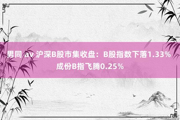 男同 av 沪深B股市集收盘：B股指数下落1.33% 成份B指飞腾0.25%