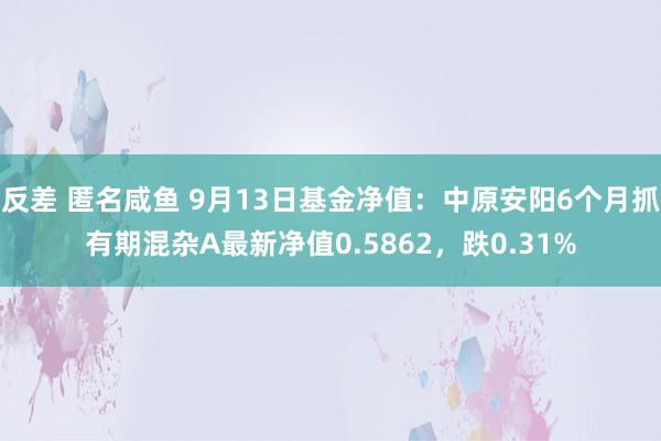 反差 匿名咸鱼 9月13日基金净值：中原安阳6个月抓有期混杂A最新净值0.5862，跌0.31%