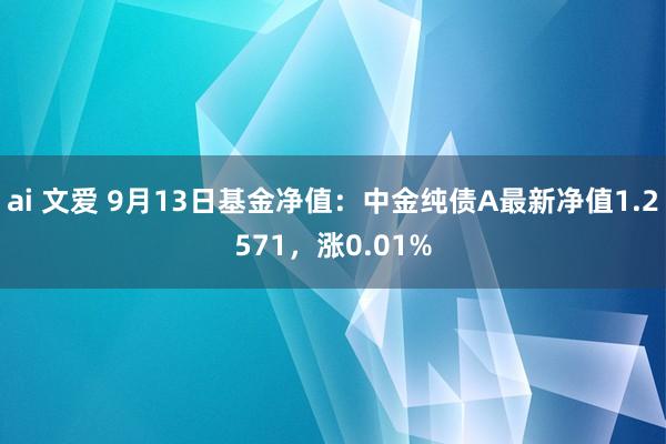 ai 文爱 9月13日基金净值：中金纯债A最新净值1.2571，涨0.01%