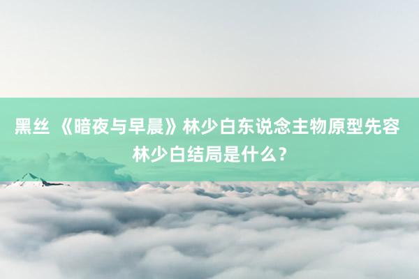 黑丝 《暗夜与早晨》林少白东说念主物原型先容 林少白结局是什么？