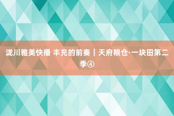 泷川雅美快播 丰充的前奏｜天府粮仓·一块田第二季④