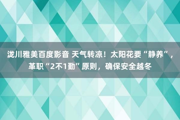 泷川雅美百度影音 天气转凉！太阳花要“静养”，革职“2不1勤”原则，确保安全越冬