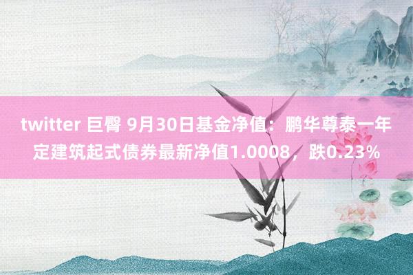 twitter 巨臀 9月30日基金净值：鹏华尊泰一年定建筑起式债券最新净值1.0008，跌0.23%