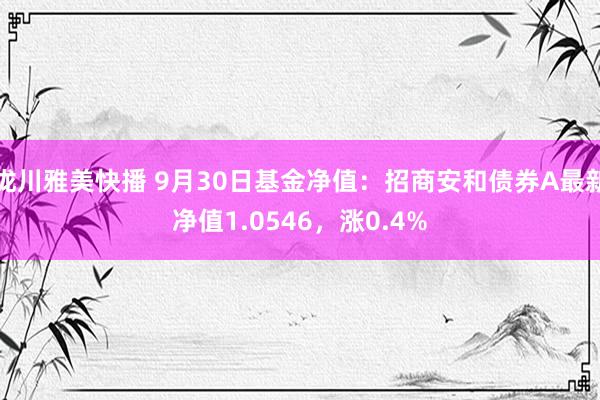 泷川雅美快播 9月30日基金净值：招商安和债券A最新净值1.0546，涨0.4%