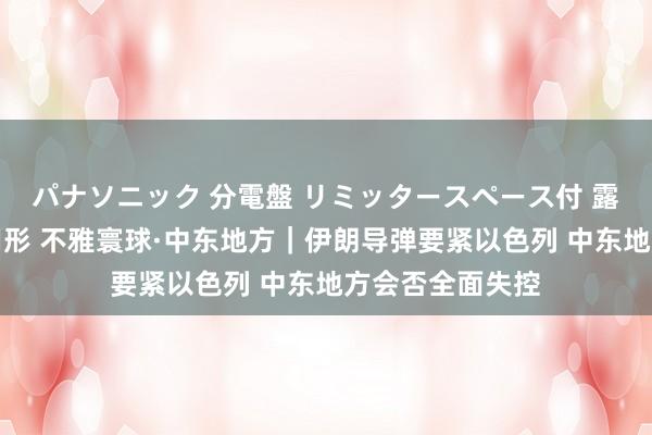 パナソニック 分電盤 リミッタースペース付 露出・半埋込両用形 不雅寰球·中东地方｜伊朗导弹要紧以色列 中东地方会否全面失控