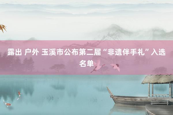 露出 户外 玉溪市公布第二届“非遗伴手礼”入选名单