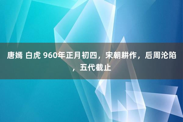 唐嫣 白虎 960年正月初四，宋朝耕作，后周沦陷，五代截止