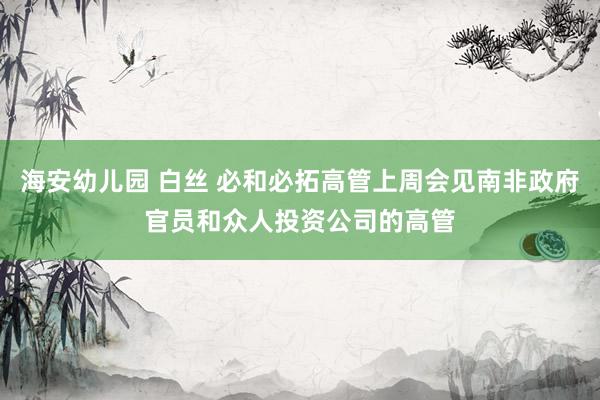 海安幼儿园 白丝 必和必拓高管上周会见南非政府官员和众人投资公司的高管