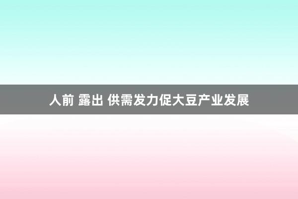 人前 露出 供需发力促大豆产业发展