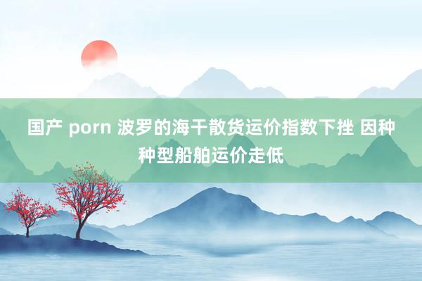 国产 porn 波罗的海干散货运价指数下挫 因种种型船舶运价走低