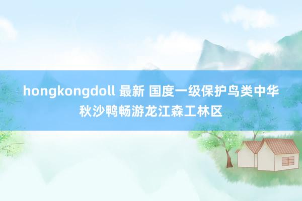 hongkongdoll 最新 国度一级保护鸟类中华秋沙鸭畅游龙江森工林区