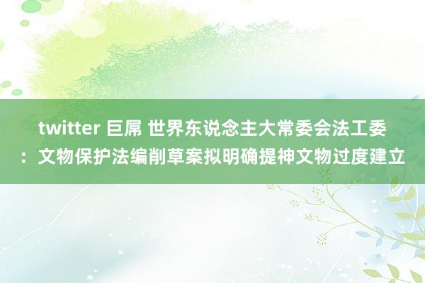 twitter 巨屌 世界东说念主大常委会法工委：文物保护法编削草案拟明确提神文物过度建立