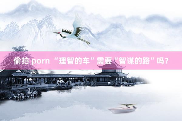 偷拍 porn “理智的车”需要“智谋的路”吗？