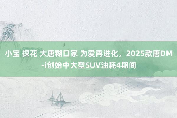 小宝 探花 大唐糊口家 为爱再进化，2025款唐DM-i创始中大型SUV油耗4期间