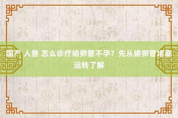 国产 人兽 怎么诊疗输卵管不孕？先从输卵管堵塞运转了解