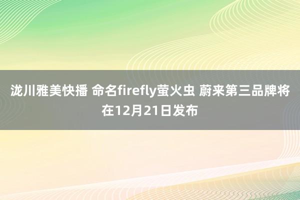 泷川雅美快播 命名firefly萤火虫 蔚来第三品牌将在12月21日发布