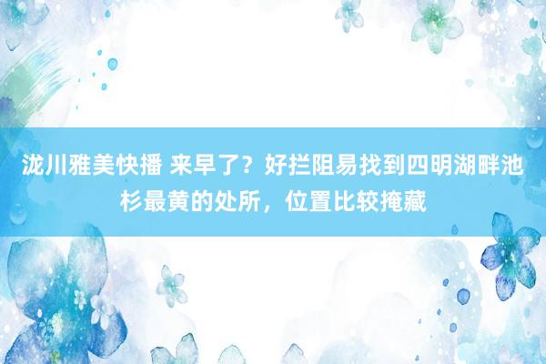 泷川雅美快播 来早了？好拦阻易找到四明湖畔池杉最黄的处所，位置比较掩藏