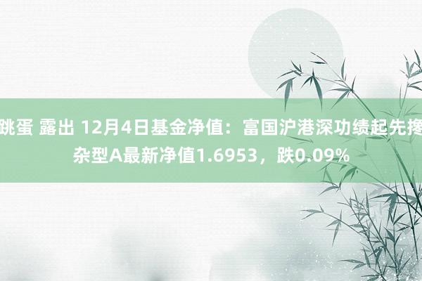 跳蛋 露出 12月4日基金净值：富国沪港深功绩起先搀杂型A最新净值1.6953，跌0.09%