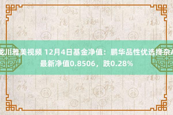 泷川雅美视频 12月4日基金净值：鹏华品性优选搀杂A最新净值0.8506，跌0.28%