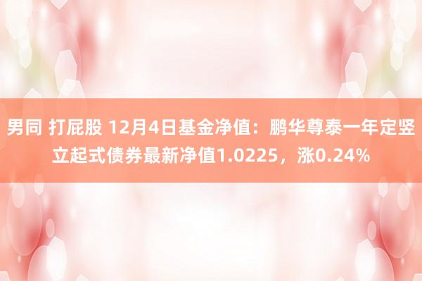 男同 打屁股 12月4日基金净值：鹏华尊泰一年定竖立起式债券最新净值1.0225，涨0.24%