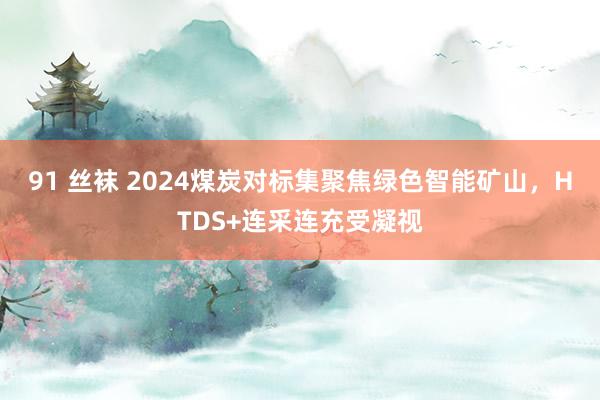 91 丝袜 2024煤炭对标集聚焦绿色智能矿山，HTDS+连采连充受凝视