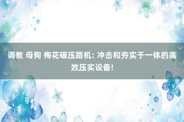 调教 母狗 梅花碾压路机: 冲击和夯实于一体的高效压实设备!