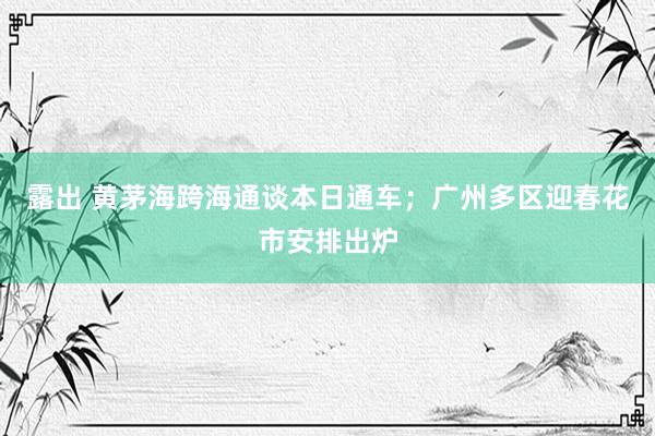 露出 黄茅海跨海通谈本日通车；广州多区迎春花市安排出炉