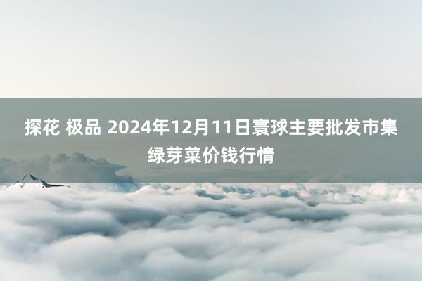 探花 极品 2024年12月11日寰球主要批发市集绿芽菜价钱行情