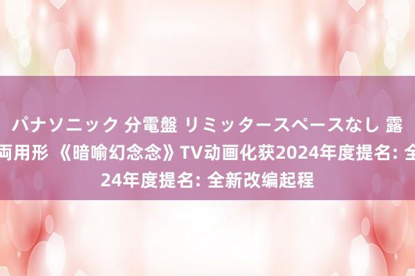 パナソニック 分電盤 リミッタースペースなし 露出・半埋込両用形 《暗喻幻念念》TV动画化获2024年度提名: 全新改编起程