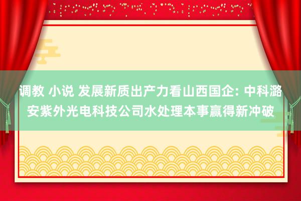 调教 小说 发展新质出产力看山西国企: 中科潞安紫外光电科技公司水处理本事赢得新冲破