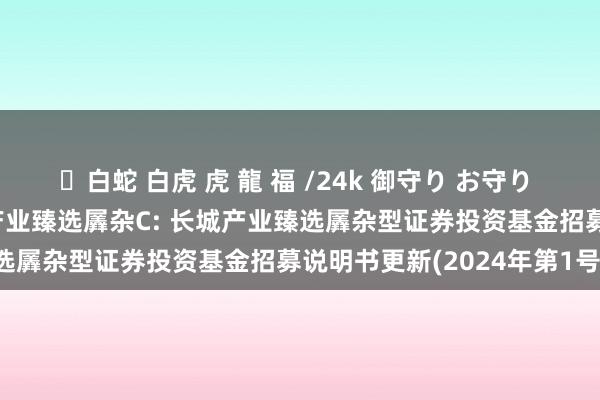 ✨白蛇 白虎 虎 龍 福 /24k 御守り お守り 长城产业臻选羼杂A，长城产业臻选羼杂C: 长城产业臻选羼杂型证券投资基金招募说明书更新(2024年第1号)