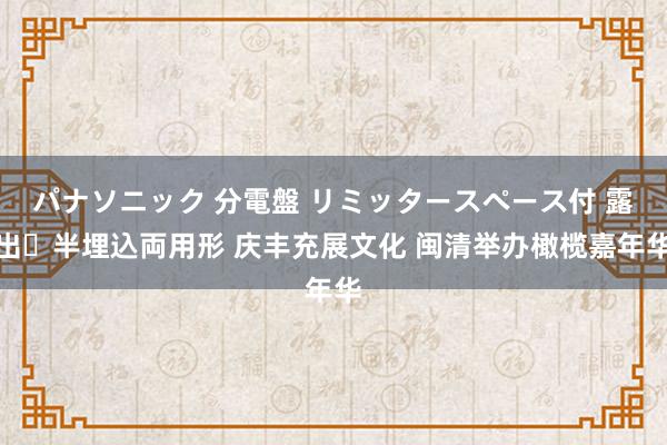 パナソニック 分電盤 リミッタースペース付 露出・半埋込両用形 庆丰充展文化 闽清举办橄榄嘉年华