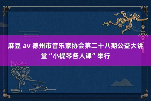 麻豆 av 德州市音乐家协会第二十八期公益大讲堂“小提琴各人课”举行