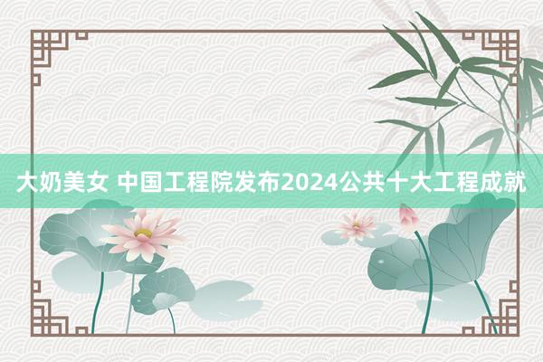 大奶美女 中国工程院发布2024公共十大工程成就