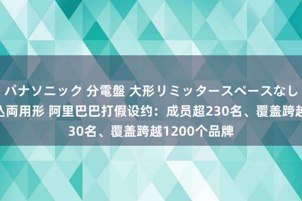 パナソニック 分電盤 大形リミッタースペースなし 露出・半埋込両用形 阿里巴巴打假设约：成员超230名、覆盖跨越1200个品牌