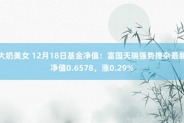 大奶美女 12月18日基金净值：富国天瑞强势搀杂最新净值0.6578，涨0.29%