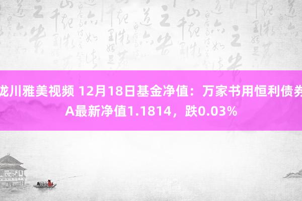 泷川雅美视频 12月18日基金净值：万家书用恒利债券A最新净值1.1814，跌0.03%