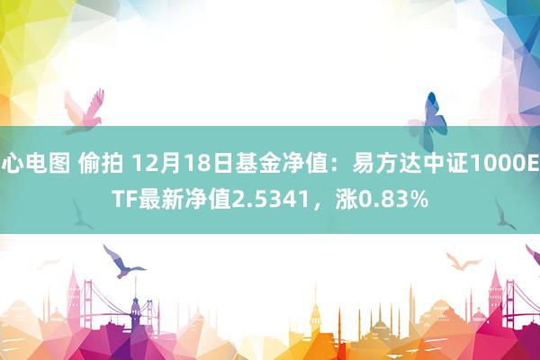 心电图 偷拍 12月18日基金净值：易方达中证1000ETF最新净值2.5341，涨0.83%