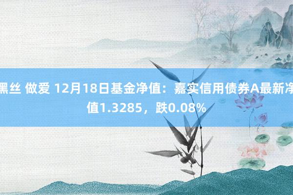 黑丝 做爱 12月18日基金净值：嘉实信用债券A最新净值1.3285，跌0.08%