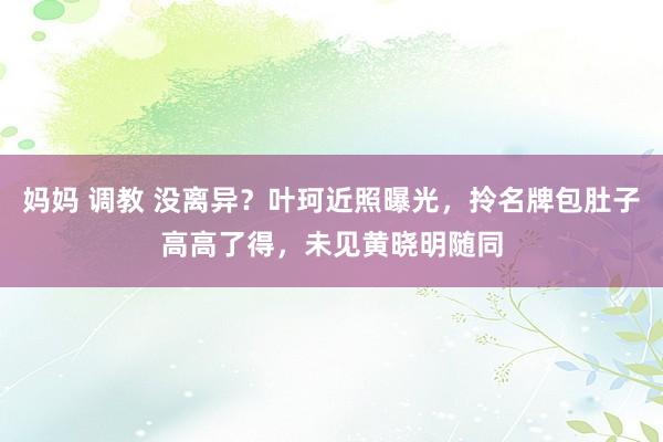 妈妈 调教 没离异？叶珂近照曝光，拎名牌包肚子高高了得，未见黄晓明随同