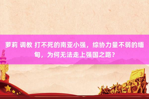 萝莉 调教 打不死的南亚小强，综协力量不弱的缅甸，为何无法走上强国之路？