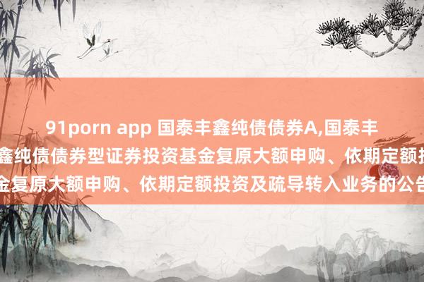 91porn app 国泰丰鑫纯债债券A，国泰丰鑫纯债债券C: 对于国泰丰鑫纯债债券型证券投资基金复原大额申购、依期定额投资及疏导转入业务的公告