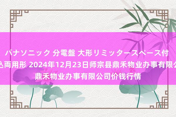 パナソニック 分電盤 大形リミッタースペース付 露出・半埋込両用形 2024年12月23日师宗县鼎禾物业办事有限公司价钱行情