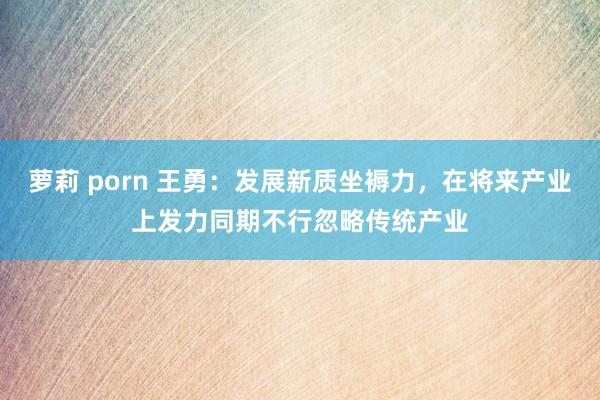 萝莉 porn 王勇：发展新质坐褥力，在将来产业上发力同期不行忽略传统产业